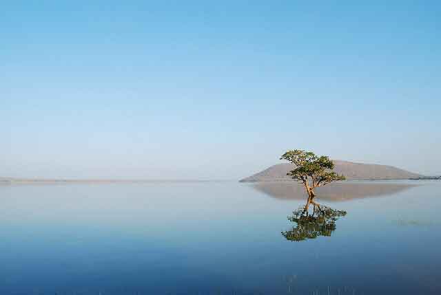 pakhal-lake