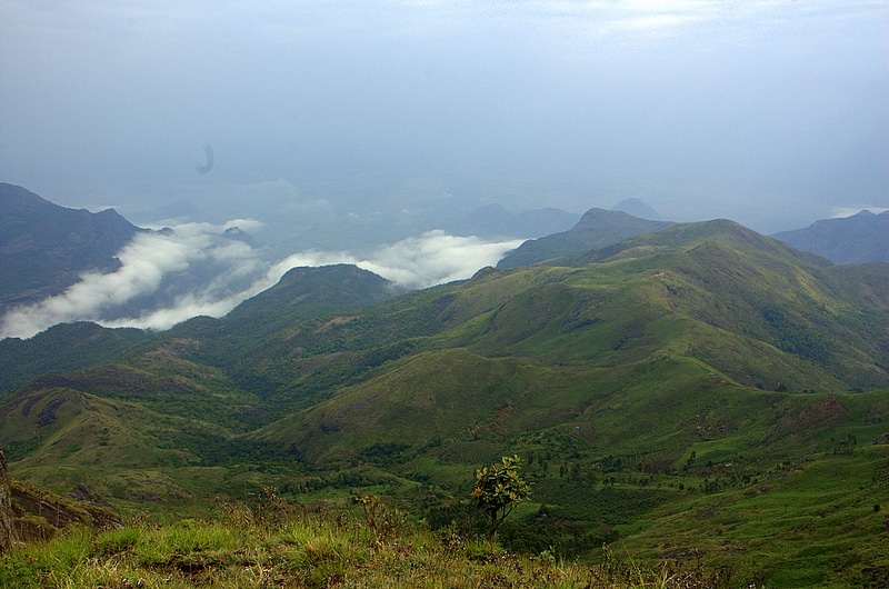 Palani Hills