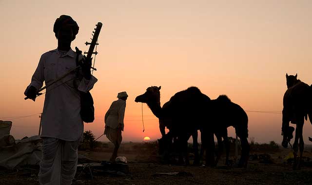 Pushkar Camel Safari