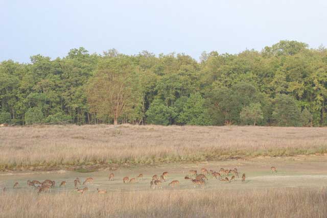 achanakmar-wildlife-sanctuary