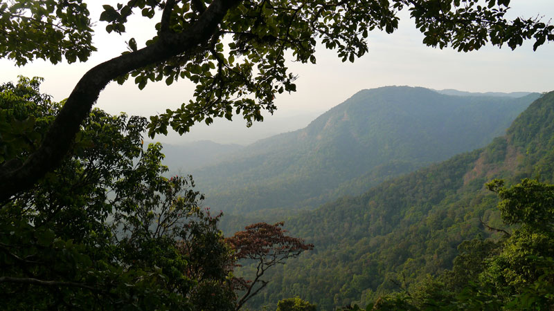 Agumbe