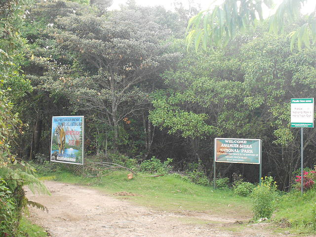 anamudi-shola-national-park