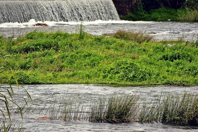 balmuri-falls