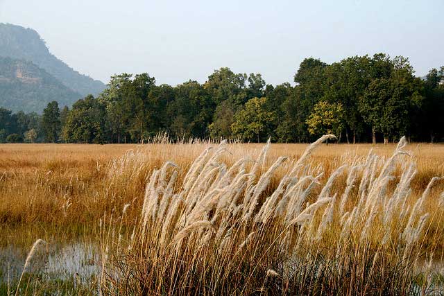 bandhavgarh-national-park