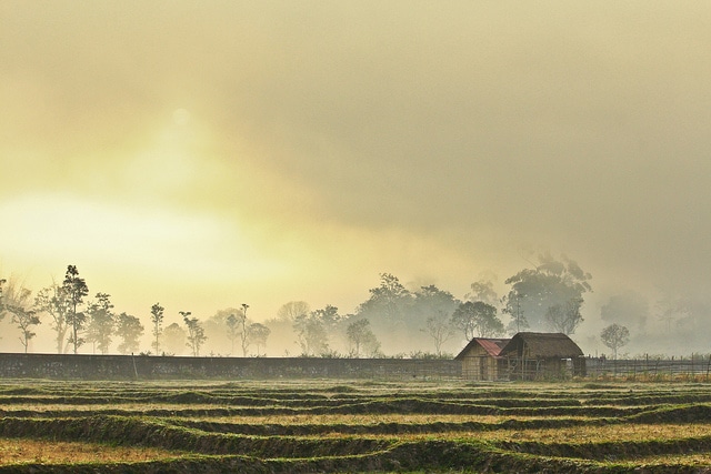 bandipur-national-park1