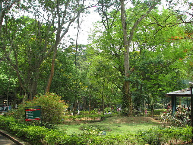 bannerghatta-national-park2