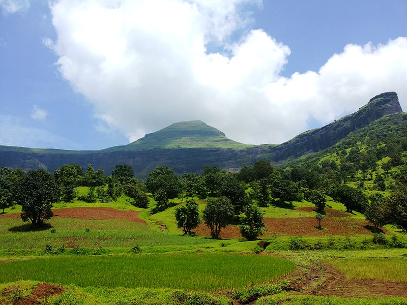 Bhamhagiri Hill