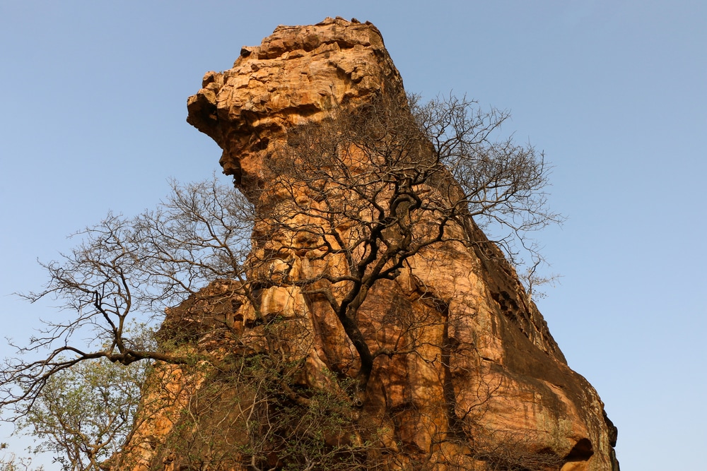 Bhimbetka Rock Shelters, Raisen