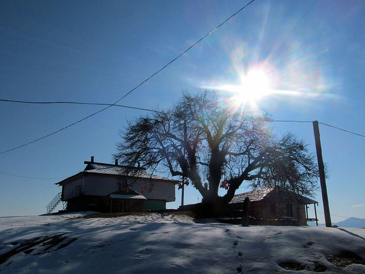 Bijli Mahadev Temple