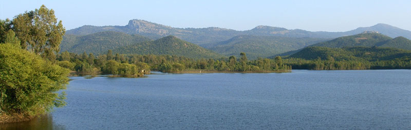 Biligiriranga Hills