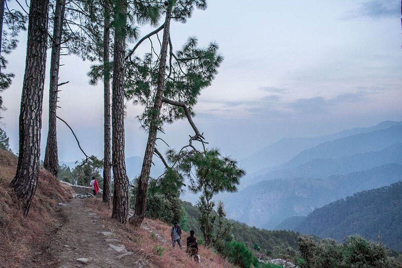 Binsar Wildlife Sanctury Almora