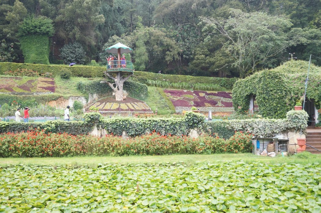 Botanical Garden Ooty