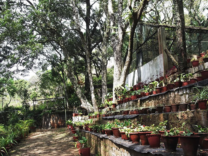 Botanical Garden Yercaud