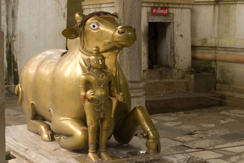 Brass Nandi