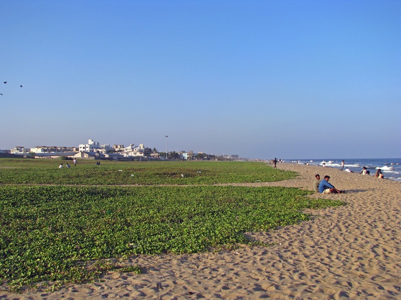 Breezy Beach