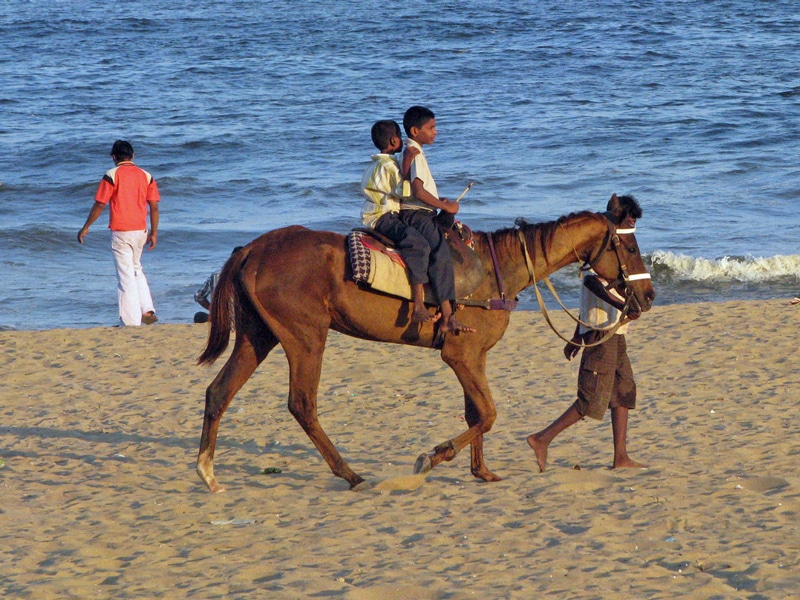 Breezy Beach Chennai