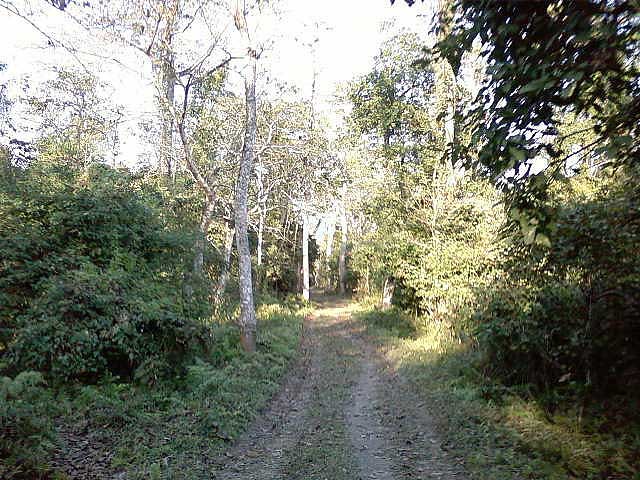 bura-chapori-wildlife-sanctuary