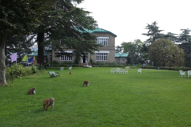 tourist places chail in himachal