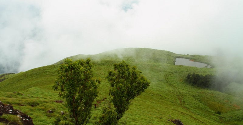 Chembra Peak Wayanad