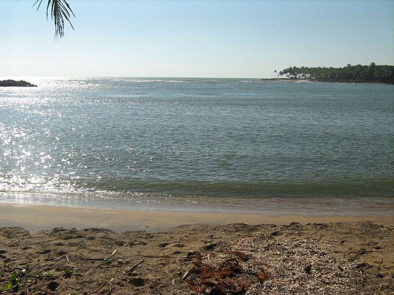 Chettuva Backwater