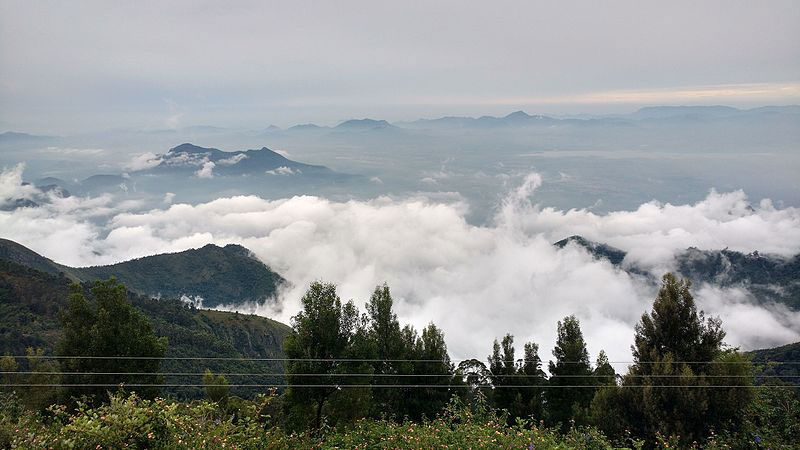 Coaker's Walk Kodaikanal