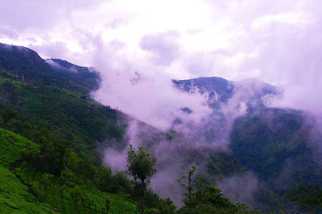 coonoor