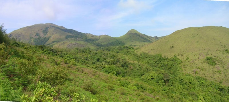 Coorg-Tadiandamol Trek, Coorg