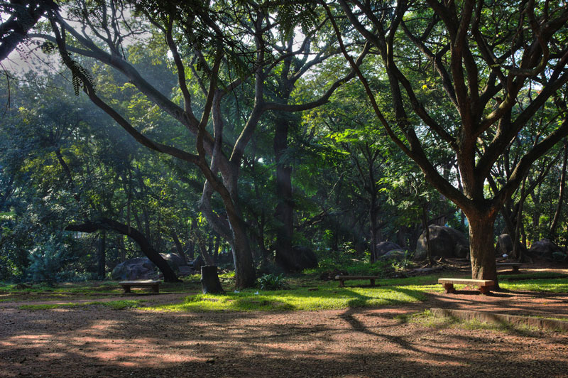 Cubbon Park