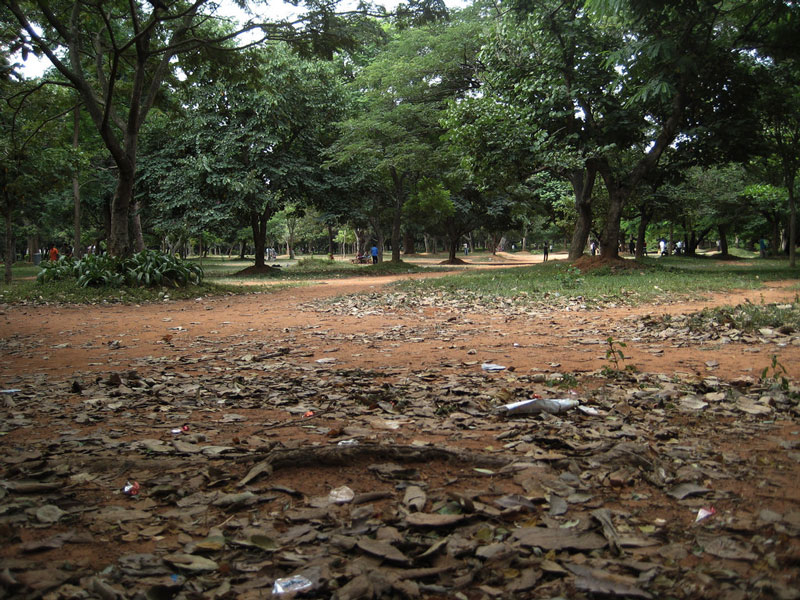 Cubbon Park Bangalore