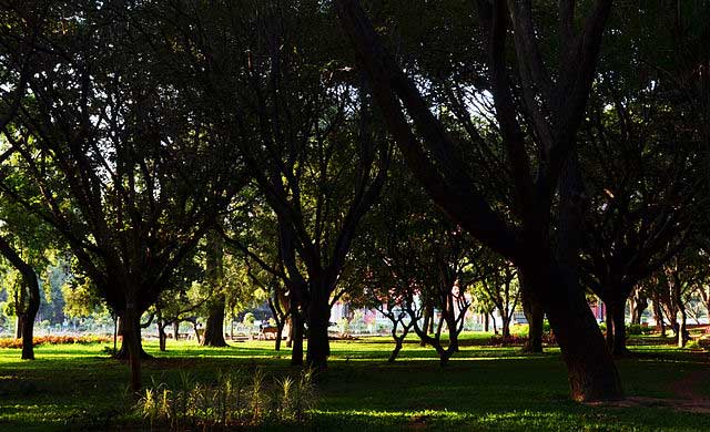 cubbon-park