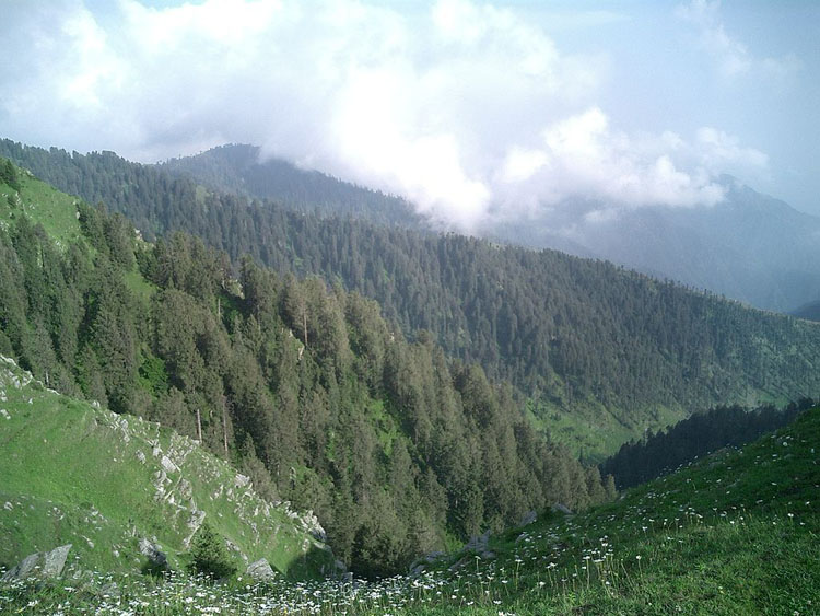 Dainkund Peak