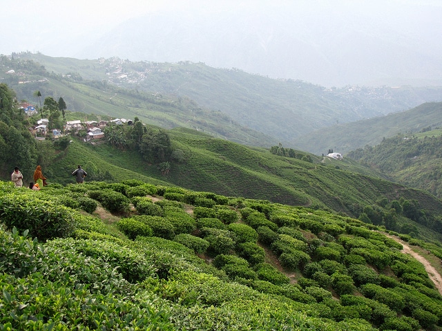 Darjeeling