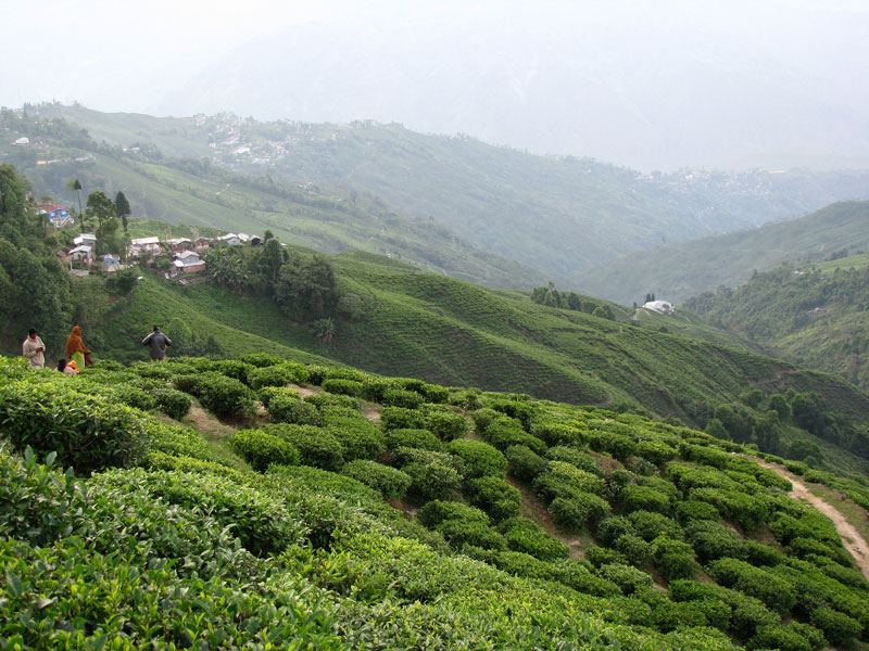 Darjeeling, West Bengal