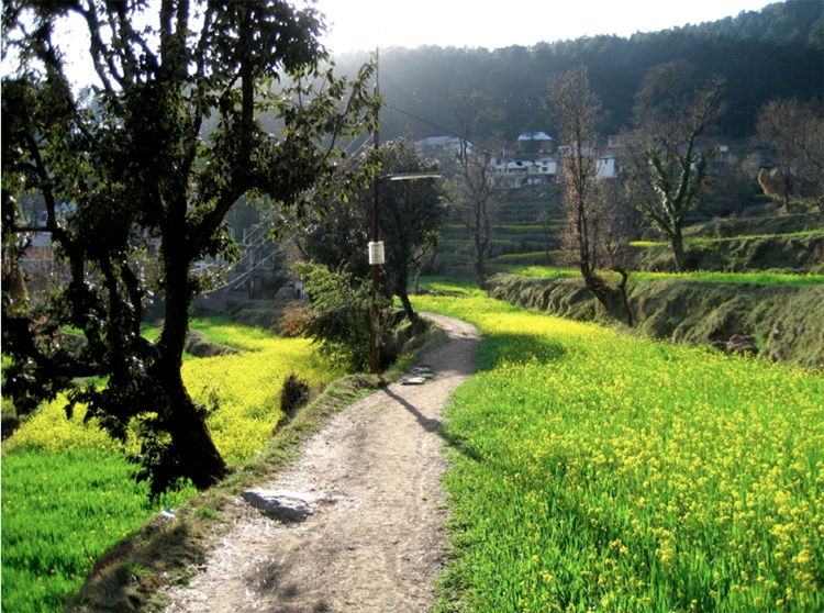 Dharamkot Dharamshala