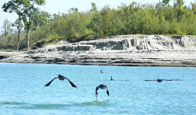 dibru-saikhowa-national-park