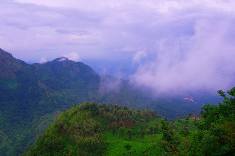 Dolphine Nose Peak Conoor