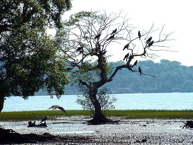 panaji tourist points