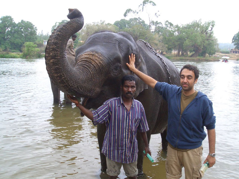 Dubare Elephant Camp