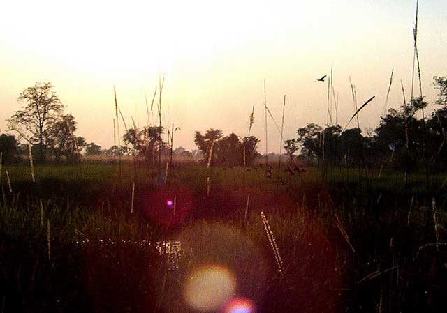 dudhwa-national-park