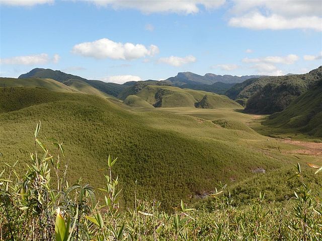 dzukou-valley
