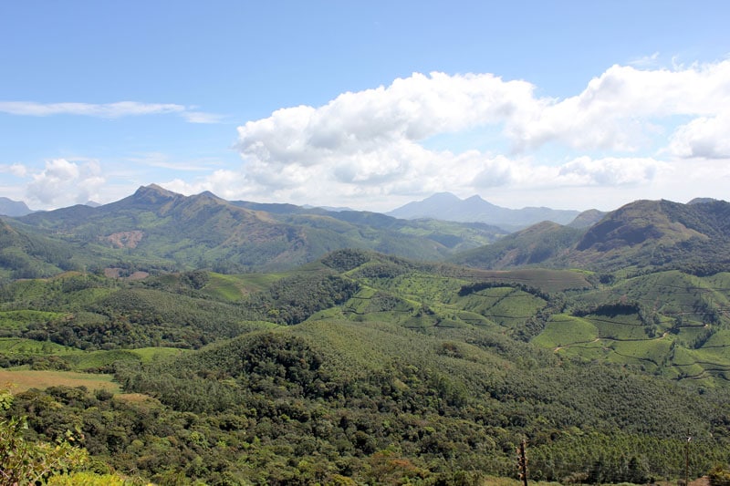 Eravikulam National Park