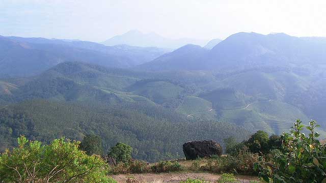 eravikulam-national-park