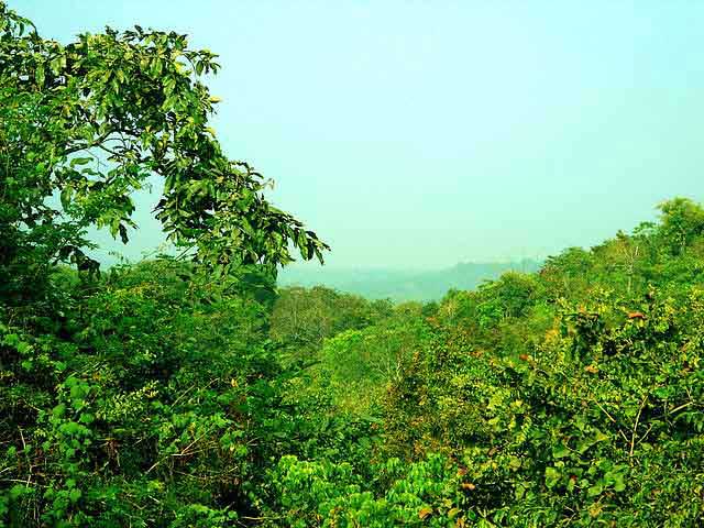 eturnagaram-wildlife-sanctuary