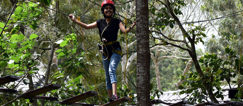 Grange Treetop Adventure Park