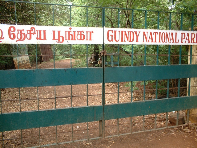 guindy-national-park