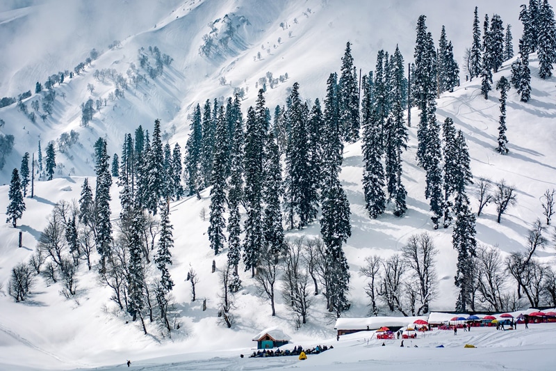 Gulmarg and Sonamarg