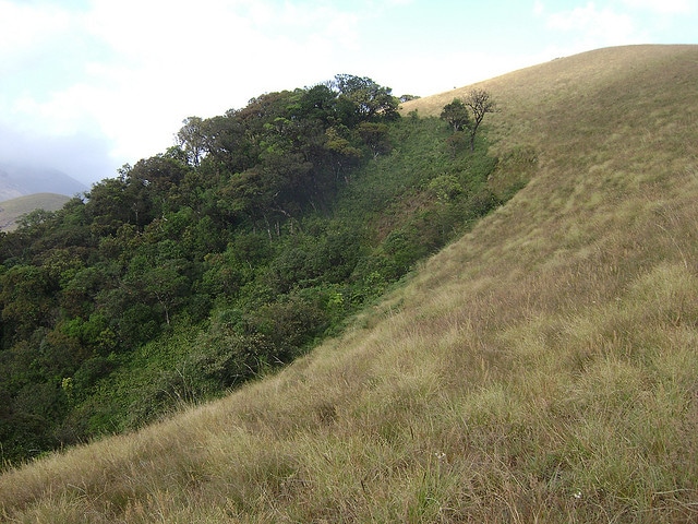 indira-gandhi-national-park