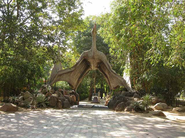 indroda-dinosaur-and-fossil-park