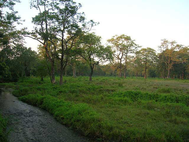 jaldapara-wildlife-sanctuary