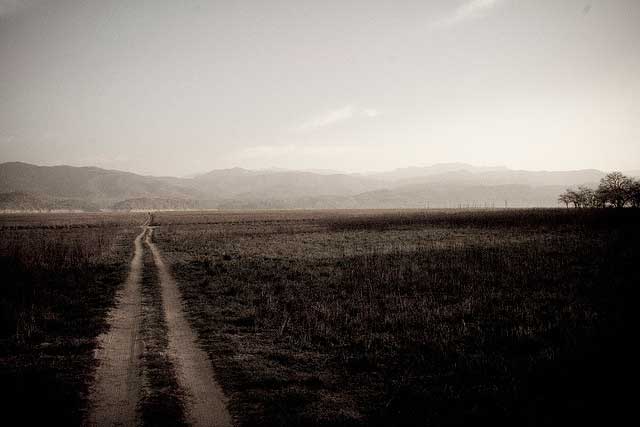 jim-corbett-national-park1